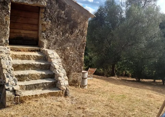 Langhjuledda Farm stay *